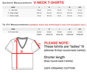 (V-NECK) IN MEMORY OF WHEN I CARED t-shirt